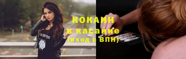 spice Бикин