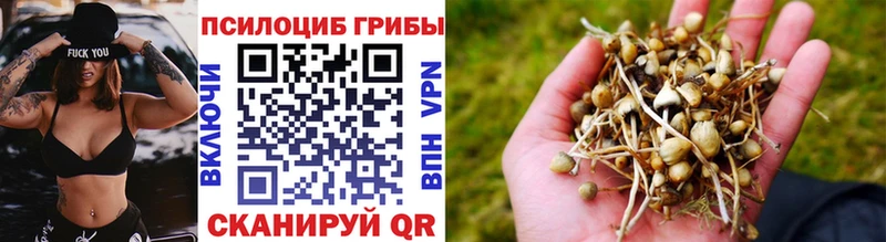 Галлюциногенные грибы мицелий  Опочка 